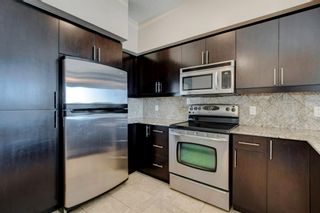 Photo 13: 2112 8710 Horton Road SW in Calgary: Haysboro Apartment for sale : MLS®# A1215879