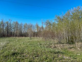 Photo 1: 37102 Road 61 N in Portage la Prairie RM: Vacant Land for sale : MLS®# 202408996