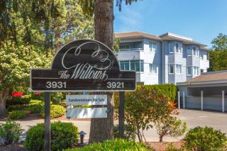 Photo 1: 101 3921 Shelbourne St in Saanich: SE Mt Tolmie Condo for sale (Saanich East)  : MLS®# 918816