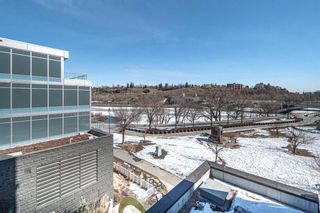 Photo 29: 402 118 Waterfront Court SW in Calgary: Chinatown Apartment for sale : MLS®# A2120171