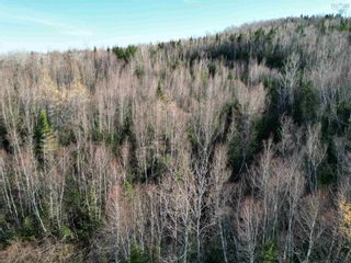 Photo 6: Lot Old Macbeth Road in Meiklefield: 108-Rural Pictou County Vacant Land for sale (Northern Region)  : MLS®# 202226848