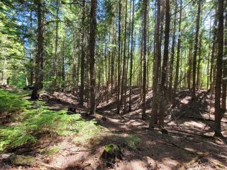 Photo 10: Lot 1 SAUNDERS ROAD in Passmore: Vacant Land for sale : MLS®# 2469922