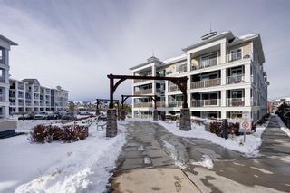 Photo 29: 204 130 Auburn Meadows View SE in Calgary: Auburn Bay Apartment for sale : MLS®# A2011626