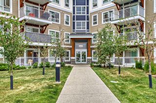 Photo 42: 2319 302 Skyview Ranch Drive NE in Calgary: Skyview Ranch Apartment for sale : MLS®# A2064602