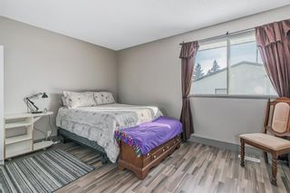 Photo 7: 6723 23 Avenue NE in Calgary: Pineridge Detached for sale : MLS®# A2030577