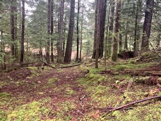 Photo 28: Lot 61 Busby Island in Sonora Island: Isl Small Islands (Campbell River Area) Land for sale (Islands)  : MLS®# 893766