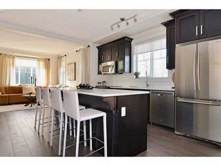 Photo 3: 53 10151 240 Street in Maple Ridge: Albion Home for sale ()  : MLS®# V1089172