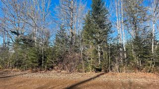 Photo 4: Lot JFN-1 (Portion of) Highway 12 in Forest Home: Kings County Vacant Land for sale (Annapolis Valley)  : MLS®# 202226931