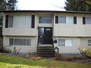 Photo 1: 11771 GRAVES Street in Maple Ridge: Southwest Maple Ridge House for sale : MLS®# V921773