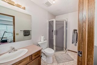 Photo 15: 132 Whitlow Place NE in Calgary: Whitehorn Detached for sale : MLS®# A2126074