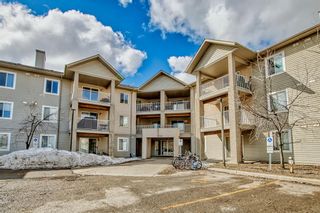 Photo 22: 208 1000 Citadel Meadow Point NW in Calgary: Citadel Apartment for sale : MLS®# A2050408