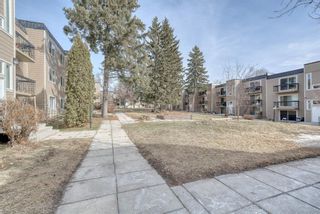 Photo 38: 306 315 Heritage Drive SE in Calgary: Acadia Apartment for sale : MLS®# A1090556