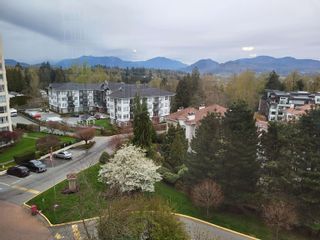 Photo 26: 802 3170 GLADWIN Road in Abbotsford: Central Abbotsford Condo for sale in "Watson Willows" : MLS®# R2771475