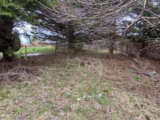 Photo 3: 5162 Highway 329 in Blandford: 405-Lunenburg County Vacant Land for sale (South Shore)  : MLS®# 202213419