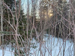 Photo 8: Lot 1 Powell Road in Little Harbour: 108-Rural Pictou County Vacant Land for sale (Northern Region)  : MLS®# 202201581