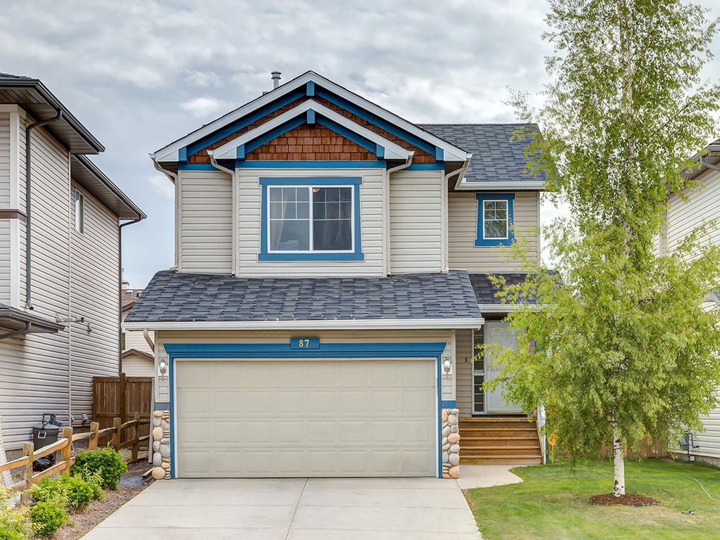 Main Photo: 87 Chapman Circle SE in Calgary: Chaparral House for sale : MLS®# 	C4064813