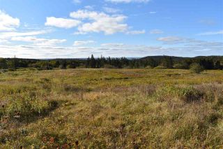 Photo 8: No 217 Highway in Centreville: 401-Digby County Vacant Land for sale (Annapolis Valley)  : MLS®# 201924593