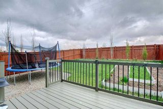 Photo 48: 101 Mount Rae Heights: Okotoks Detached for sale : MLS®# A2124153