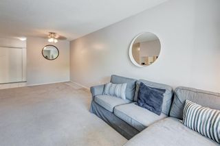 Photo 4: 202 21 Dover Point SE in Calgary: Dover Apartment for sale : MLS®# A1236669
