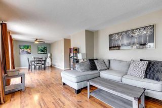Photo 6: 304 1059 5 Avenue NW in Calgary: Sunnyside Apartment for sale : MLS®# A2126353