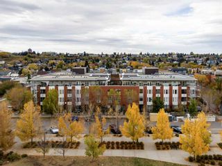 Main Photo: 305 830 Centre Avenue NE in Calgary: Bridgeland/Riverside Apartment for sale : MLS®# A2124005