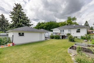 Photo 21: 5320 Buckthorn Road NW in Calgary: Thorncliffe Detached for sale : MLS®# A2143129