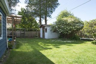 Photo 13: 1315 FERNWOOD Crescent in North Vancouver: Norgate House for sale in "Norgate" : MLS®# R2066595