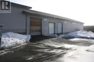 Photo 3: 1171 Topsail Road in Mount Pearl: Business for lease : MLS®# 1265681
