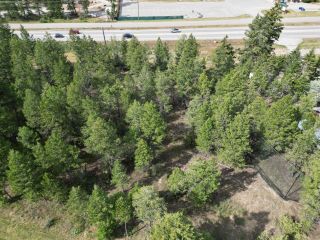 Photo 9: Lot 6 EMERALD EAST FRONTAGE ROAD in Windermere: Vacant Land for sale : MLS®# 2467175