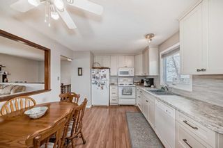 Photo 5: 3816 Dover Ridge Drive SE in Calgary: Dover Detached for sale : MLS®# A2124560