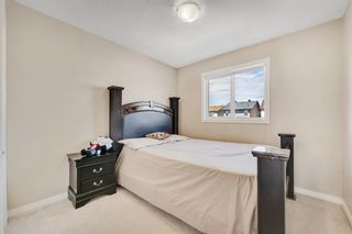 Photo 16: 66 Skyview Springs Rise NE in Calgary: Skyview Ranch Detached for sale : MLS®# A1251481