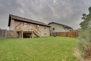 Photo 29: 6 Deer Coulee Drive: Didsbury Detached for sale : MLS®# A1145648