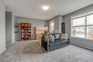 Photo 19: 167 Skyview Shores Crescent NE in Calgary: Skyview Ranch Detached for sale : MLS®# A2019286