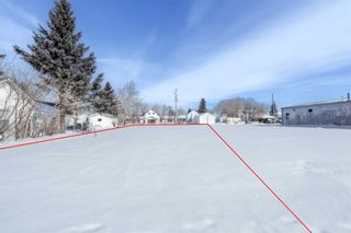 Photo 4: 5124 53 Avenue: Viking Residential Land for sale : MLS®# A2136910
