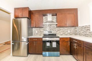 Photo 18: 42 Erin Ridge Place SE in Calgary: Erin Woods Detached for sale : MLS®# A1234940
