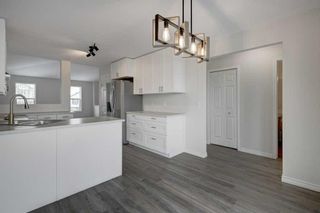 Photo 12: 40 Copperfield Heights SE in Calgary: Copperfield Detached for sale : MLS®# A2123817