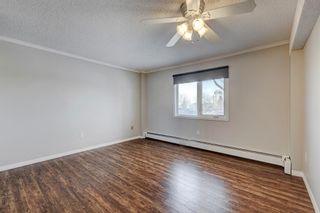 Photo 16: 117 816 89 Avenue SW in Calgary: Haysboro Apartment for sale : MLS®# A2022209