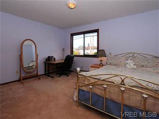 Photo 9: 4222 Carey Rd in VICTORIA: SW Northridge House for sale (Saanich West)  : MLS®# 565852