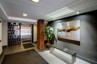 Photo 3: 101 1027 Cameron Avenue SW in Calgary: Lower Mount Royal Apartment for sale : MLS®# A2120668