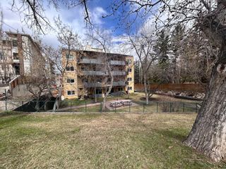 Photo 23: 403 823 Royal Avenue SW in Calgary: Upper Mount Royal Apartment for sale : MLS®# A2127833