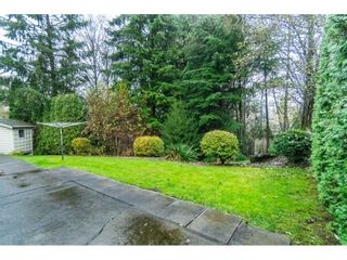 Photo 19: 4998 203A Street in Langley: Langley City House for sale : MLS®# R2419595