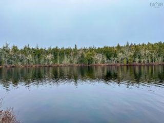 Photo 24: 265 Camperdown School Road in Middlewood: 405-Lunenburg County Vacant Land for sale (South Shore)  : MLS®# 202305865