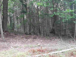 Photo 2: Lot 24 Bridle Path in Labelle: 406-Queens County Vacant Land for sale (South Shore)  : MLS®# 202126349