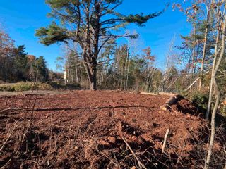 Photo 8: Lot Highway 311 in Tatamagouche: 103-Malagash, Wentworth Vacant Land for sale (Northern Region)  : MLS®# 202323312