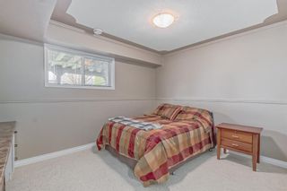 Photo 26: 179 Isherwood Close: Red Deer Detached for sale : MLS®# A2046572
