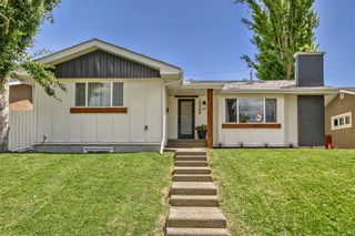 Main Photo: 10408 2 Street SE in Calgary: Willow Park Detached for sale : MLS®# A2053310