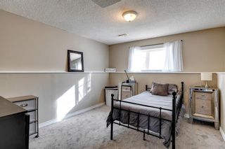 Photo 19: 179 Copperfield Grove SE in Calgary: Copperfield Detached for sale : MLS®# A2033761