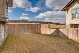 Photo 34: 385 Prestwick Terrace SE in Calgary: McKenzie Towne Detached for sale : MLS®# A1203660