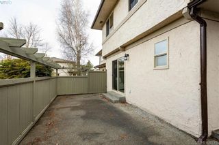 Photo 25: 19 4061 Larchwood Dr in VICTORIA: SE Lambrick Park Row/Townhouse for sale (Saanich East)  : MLS®# 808408