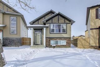 Photo 1: 250 Martinwood Place NE in Calgary: Martindale Detached for sale : MLS®# A1186078